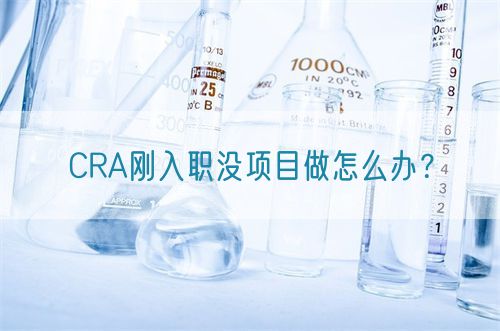 CRA剛?cè)肼殯]項目做怎么辦？(圖1)