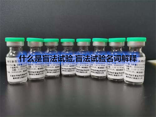 臨床試驗盲法試驗名詞解釋-什么情況下可以揭盲？