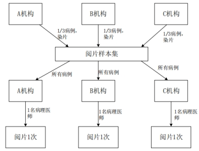 PD-L1檢測試劑臨床試驗—結(jié)果重現(xiàn)性研究注冊審查指導原則（2022年第27號）(圖5)