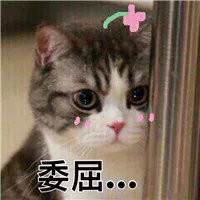 實(shí)驗(yàn)室原始記錄從哪里下手開始檢查？(圖2)